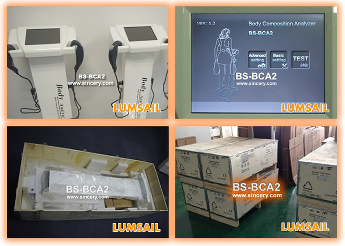 Professional Body Composition Analyzer For Body Fat Test
