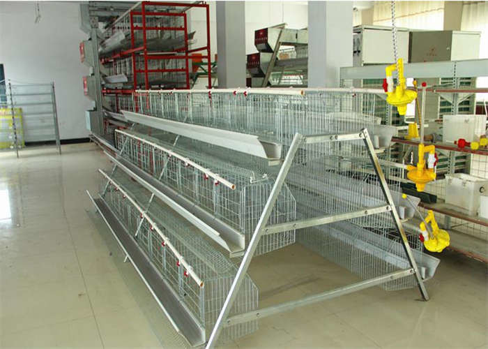 4 Tier 5 Doors Layer Chicken Cage 2300mm Width Poultry Layer Cage