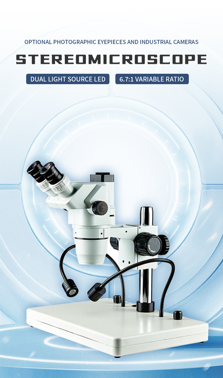 6.7X-45X Magnification Stereomicroscope for Zoology Botany Entomology Histology Mineralogy