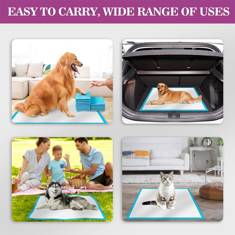 Absorbent Urine Pads for Puppy Pet Customized Private Label Pet Dog Pad Training Diaper