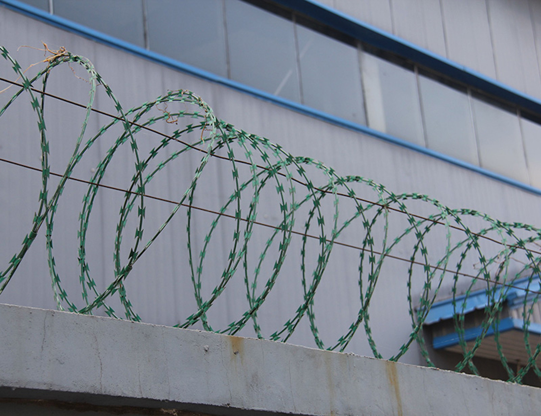 Low Carbon Steel Galvanized Spiral Razor Wire Barbed Wire Single Screw