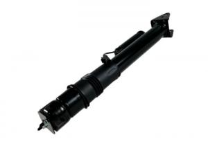China ISO W251 Mercedes Benz Air Suspension Rear Strut Replacement 2513201931 on sale