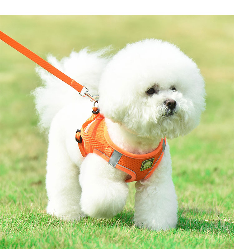 Amazon Top Seller 2021 Adjustable Padded Custom LOGO Pet Cat Dog Harness Collar Leash Reflective Dog Vest Leash