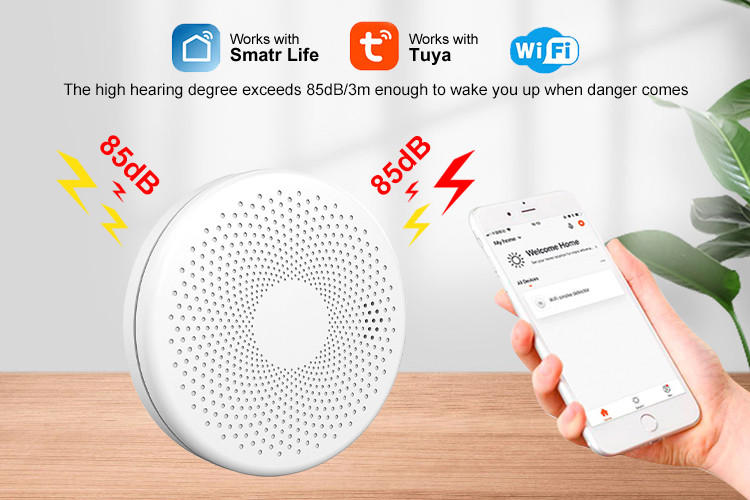 3 Years Wireless Tuya Smoke Alarm System Smoke And Carbon Monoxide Detector Alarm For Hotels