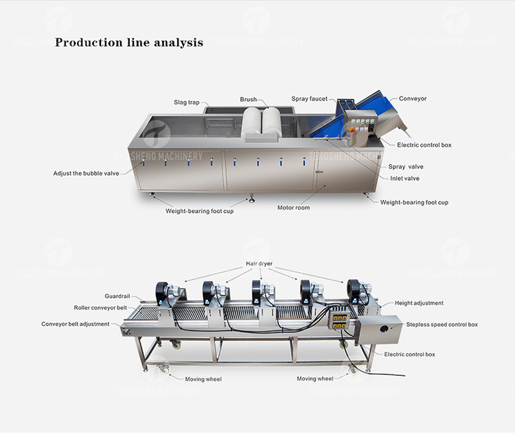 Customized Driven Pesticide Exclude Vegetable Processing Line , Centrifuging Tomato Processing Line