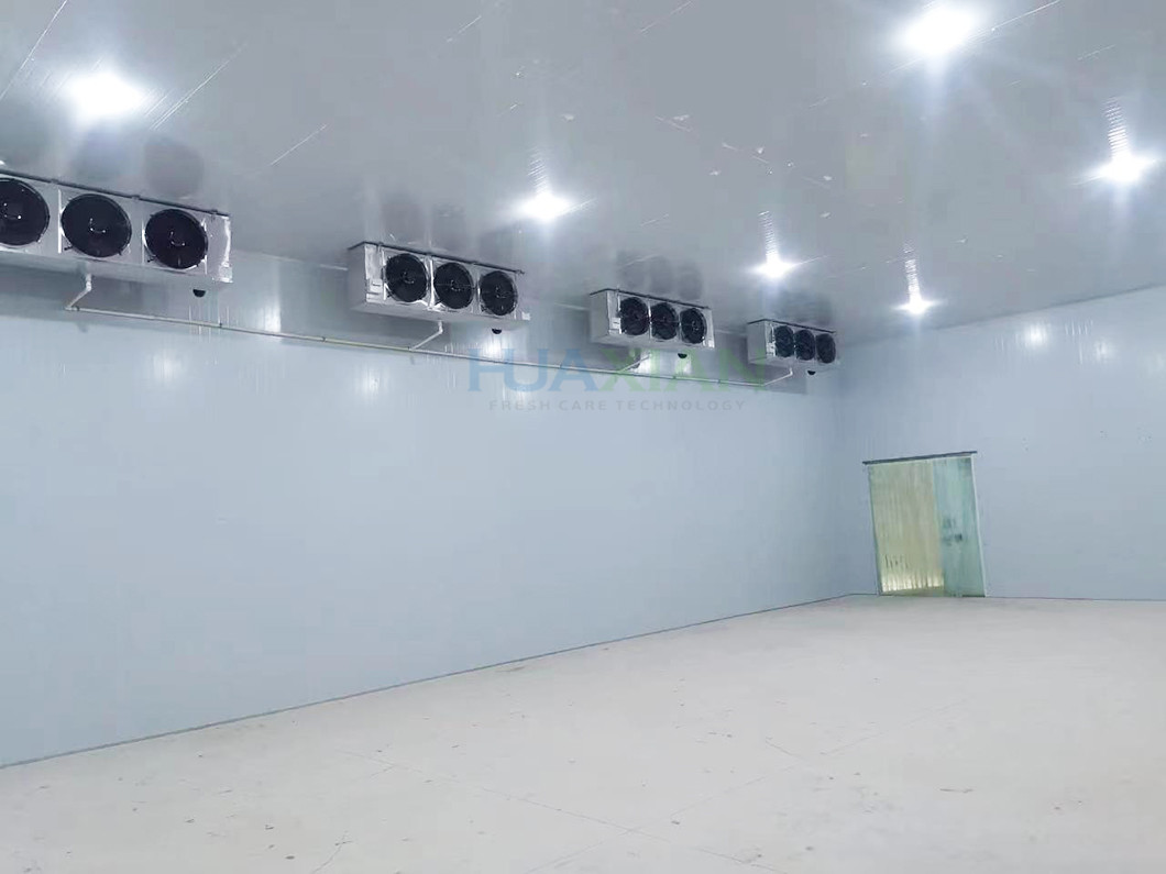 150 square Meters Vegetables Cold Storage Room With Sliding Doors