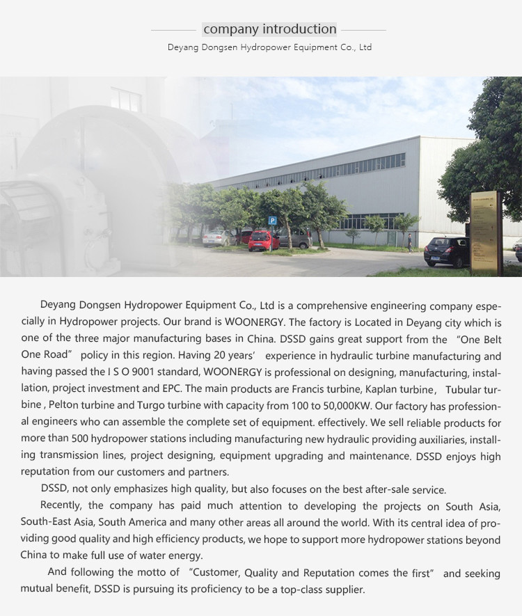 Customized 1000 Kw Francis Turbine Generator Double Pivot Adjustable