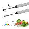 Buy cheap Linear Waterproof LED Grow Light high PPFD For Horticulture Cultivation from wholesalers