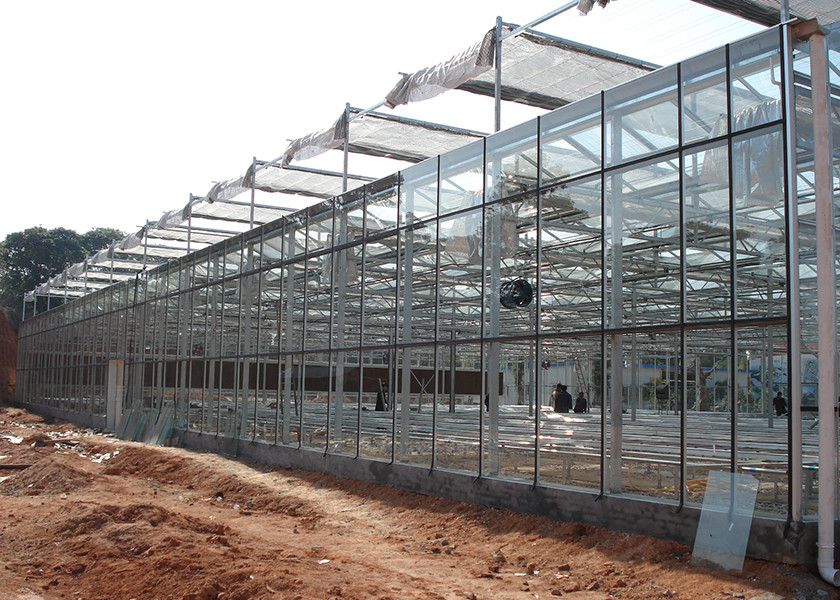 Transparent, Easy-Assemble Galvanized VENLO Greenhouses For Efficient High-Value Agriculture