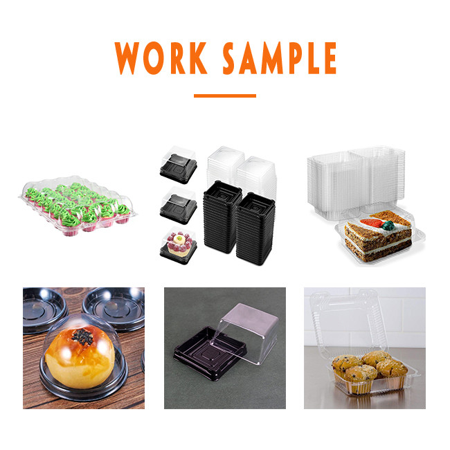 PS Cake Packing Box Making Machine Disposable Food Container