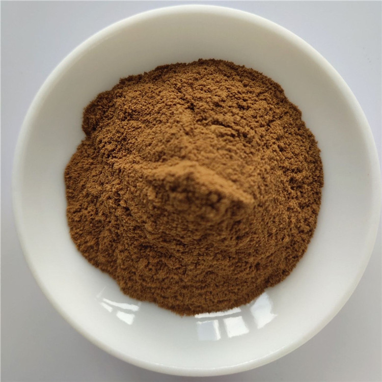 Hot Sale Lose Weight Fast Diet Hoodia Cactus Extract