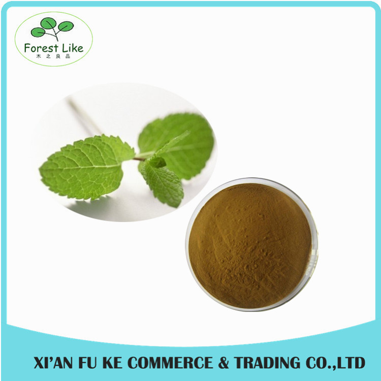 High Quality Lemon Balm (Melissa Officinalis) Extract powder