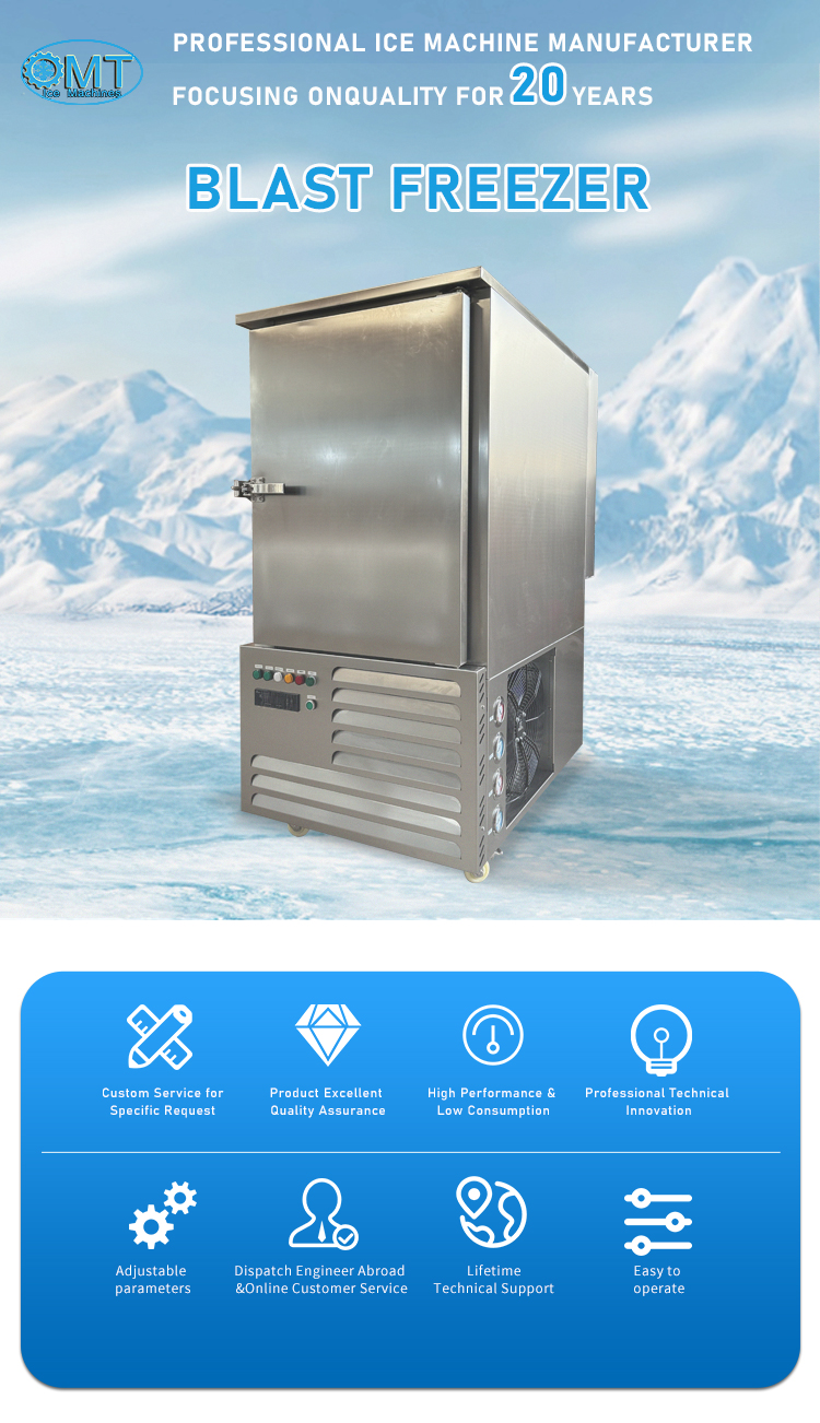 Instantly Freezing Quick Freezer Machine Strawberries Blueberries Mobile Blast Freezer