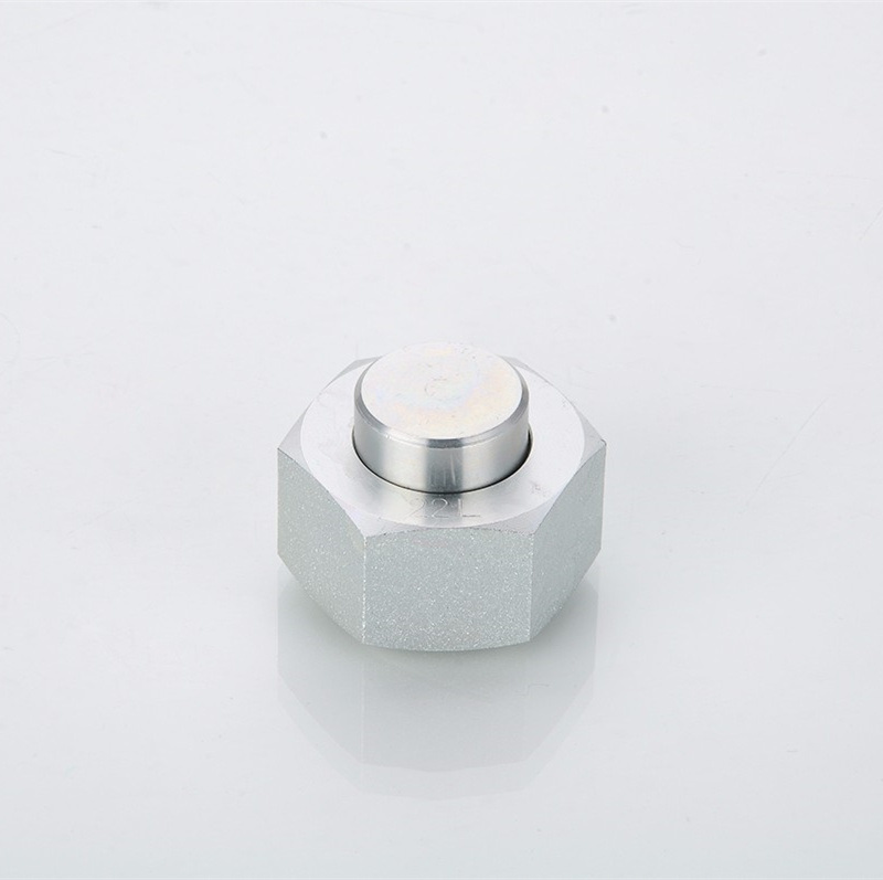 Hydraulic Bite-Type Tube Fittings Factory Supply OEM Female Plug 9c 9d