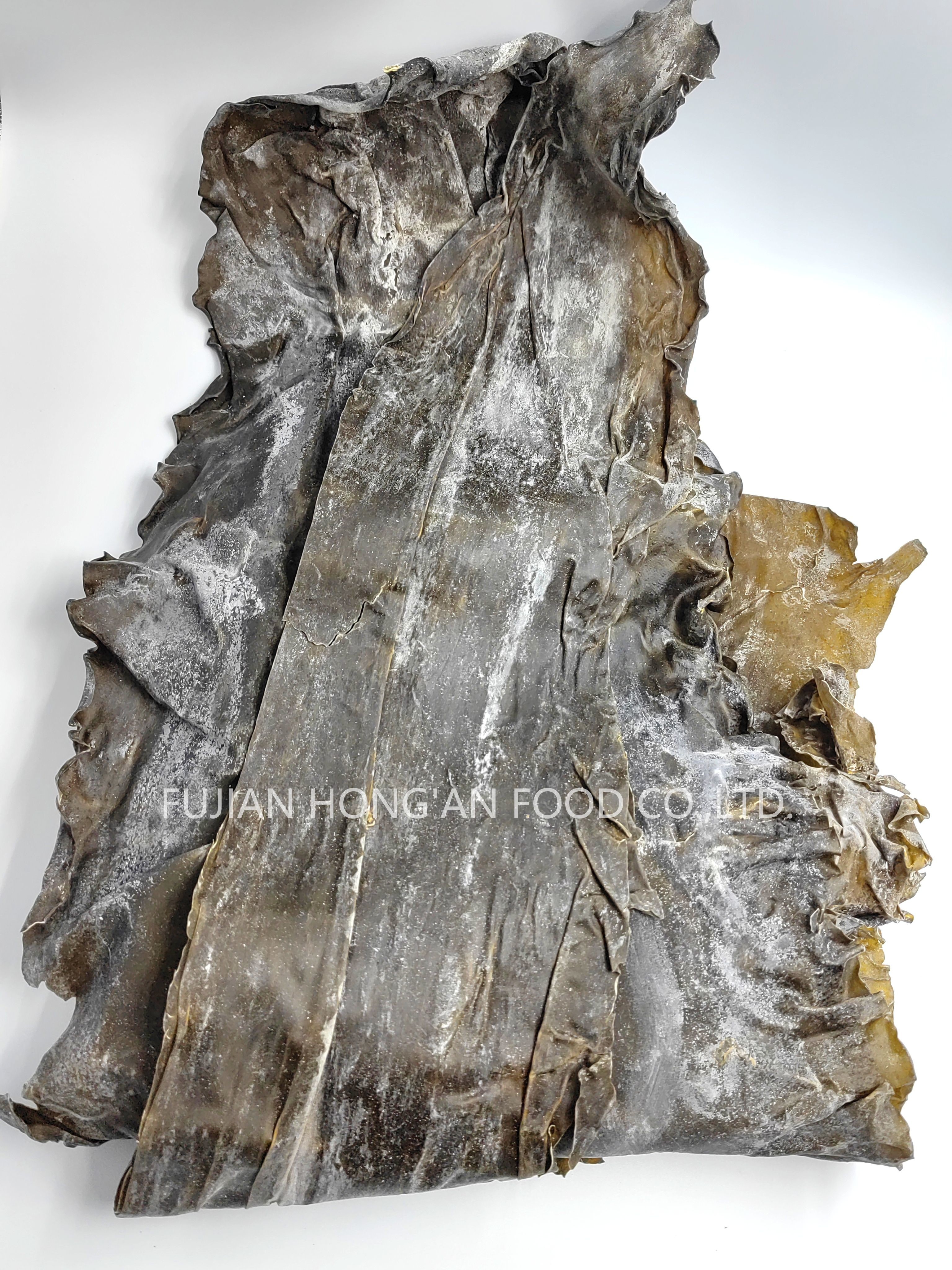 Kombu Laminaria Kelp Sprouts A Nutritious And Flavorful Treat