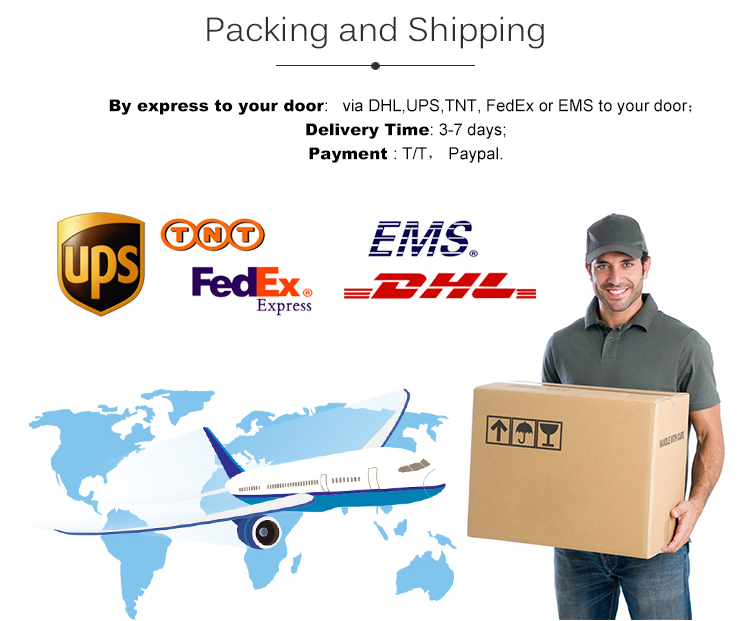 Ethernet Interface 20x Zoom PTZ Optics IP Streaming Video Camera With HD MI SDI Output