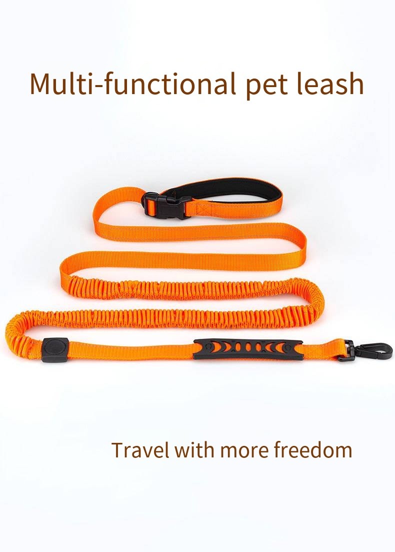 Custom Multi Functional Pet Leash Hands Free Dog Leash And Collars Set