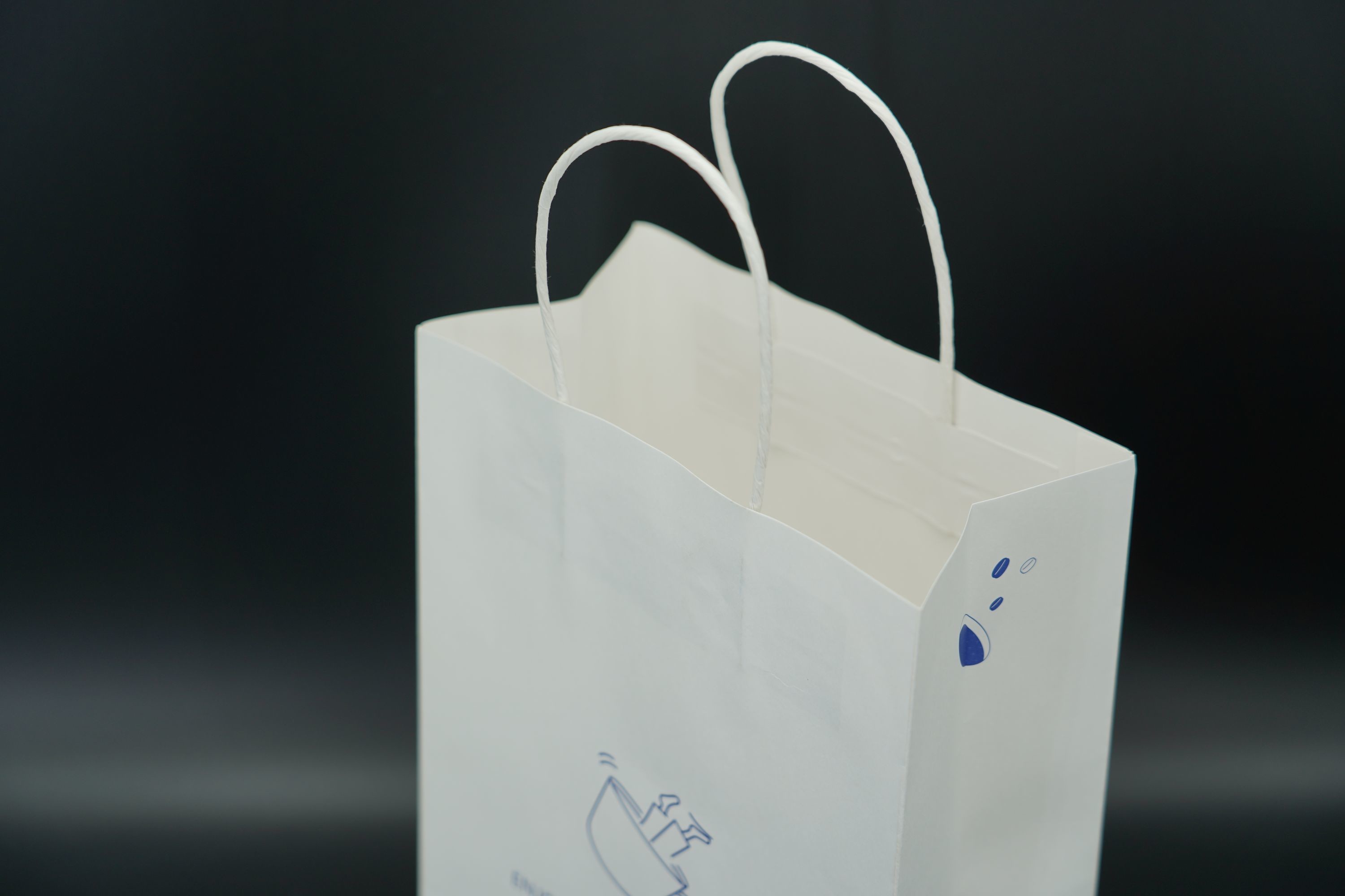Versatile Premium Custom Printed Paper Bags Biodegradable With Twisted Handles