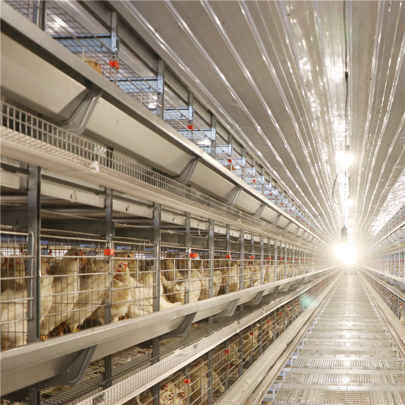 H type 4 tier 5 tier Chicken Cage For Layers Poultry Farming