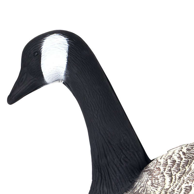 Foldable EVA Canada Foam Goose Decoys Full Size / Full Body Shooting Decoys
