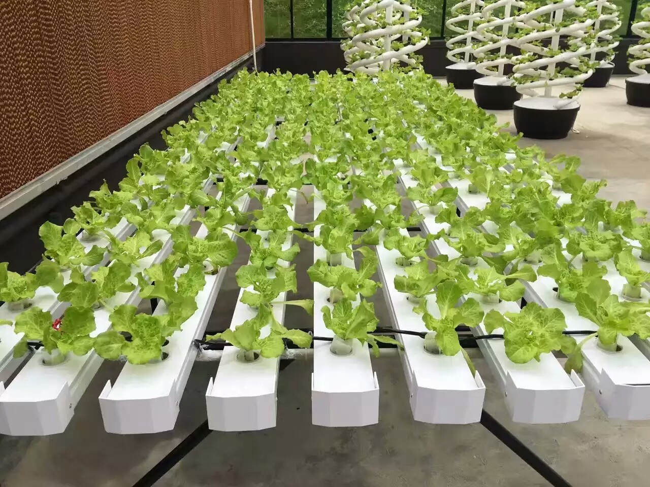 New arrival Hydroponics NFT Greenhouse System with PVC Pipe growing Kits Indoor and Garden