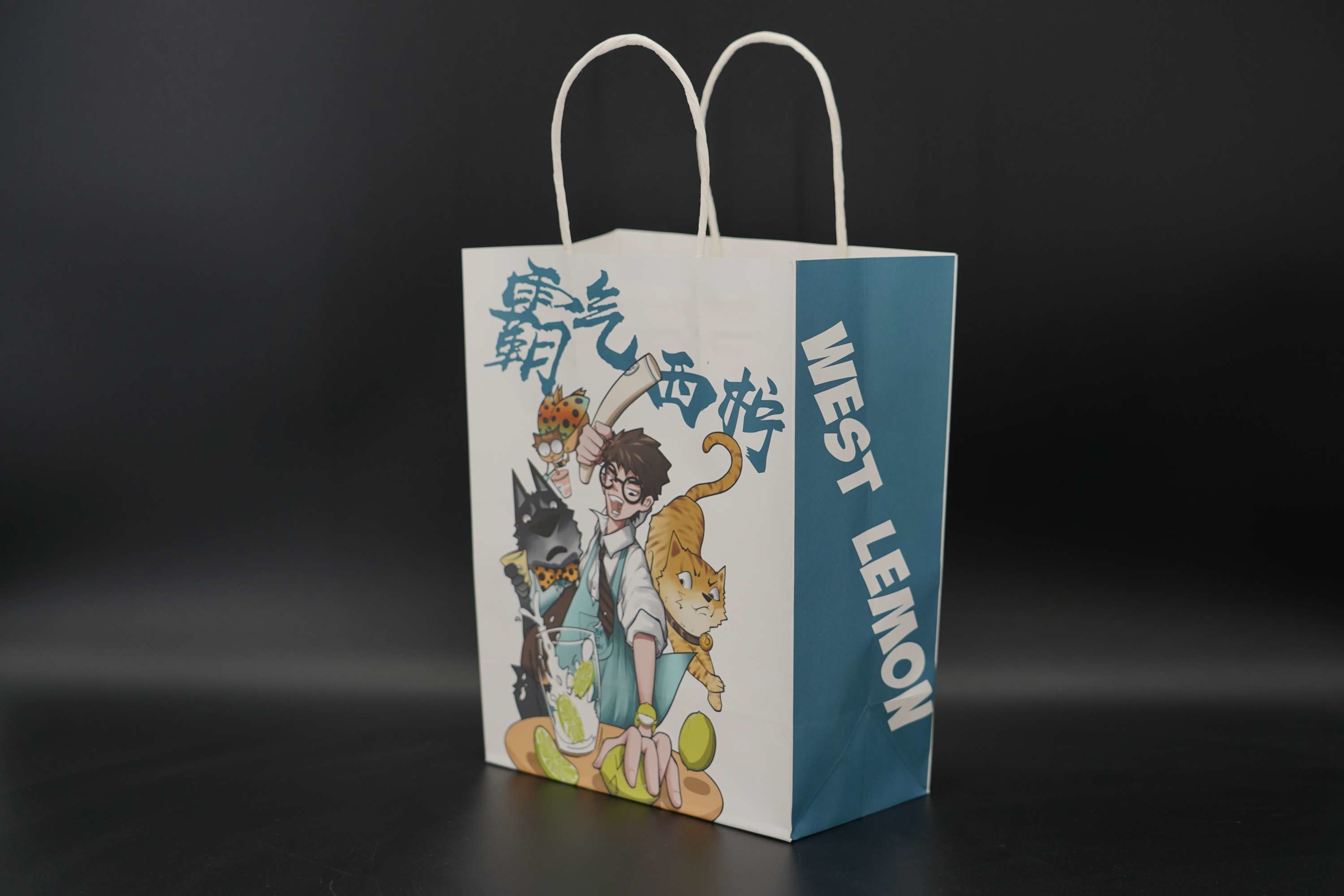 Lightweight Printed Twisted Handle Paper Bags Juice Takeaway Paper Bags