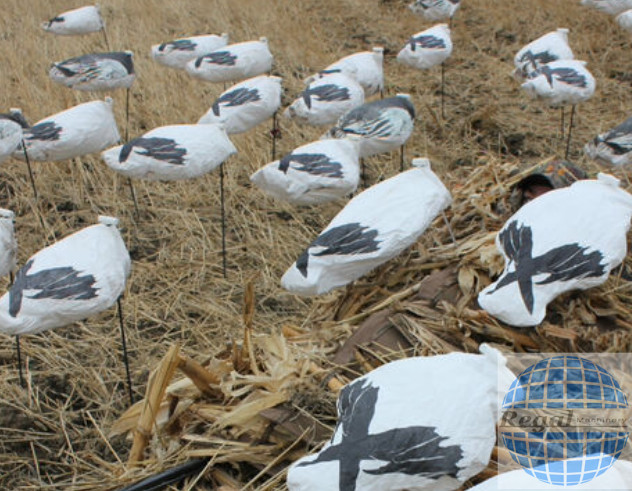 WHITE ROCK DECOYS BLIND DOOR DECOYS - SNOW GOOSE DECOY