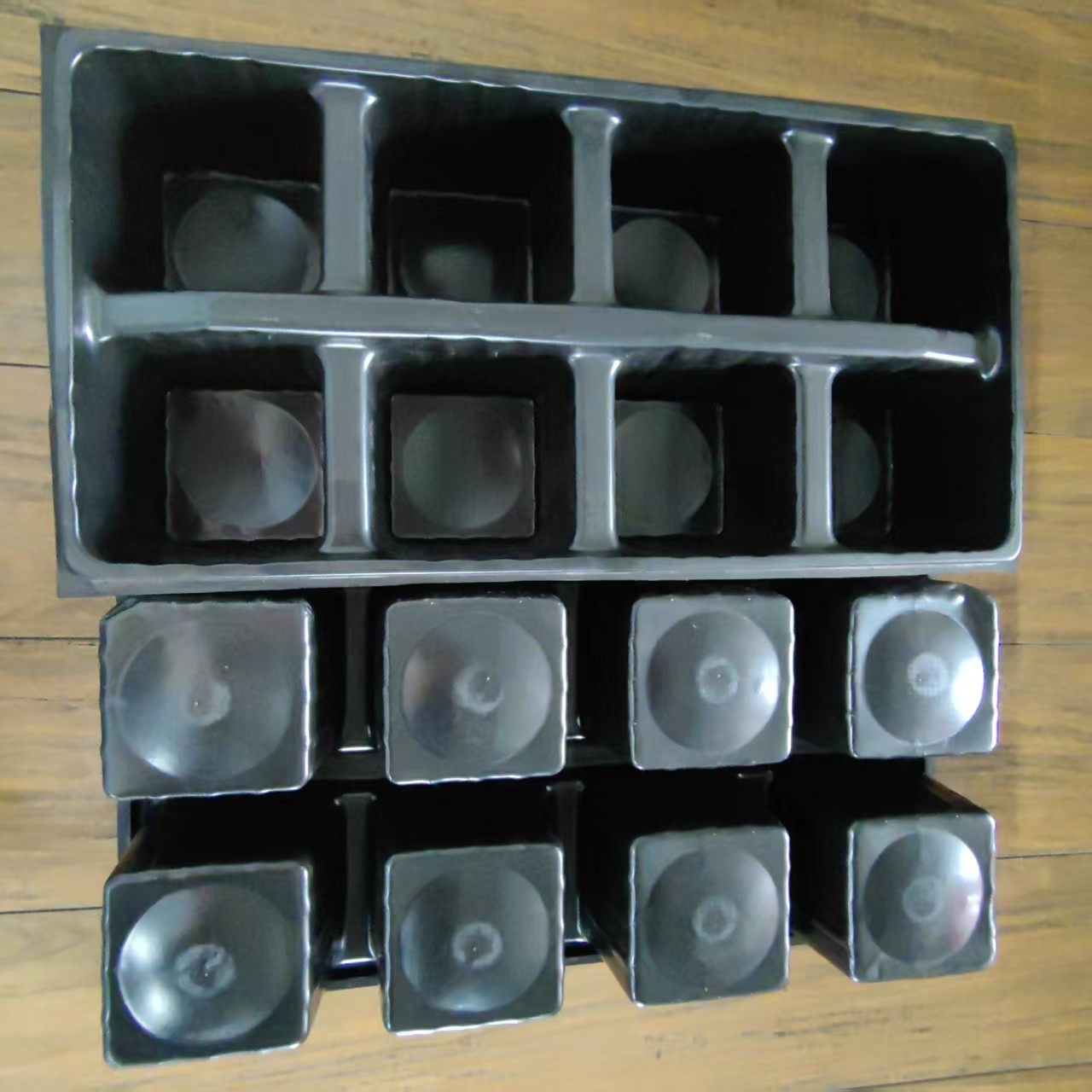PP 8 Cell black Seedling Tray Microgreen Plastic Agriculture seedling Trays