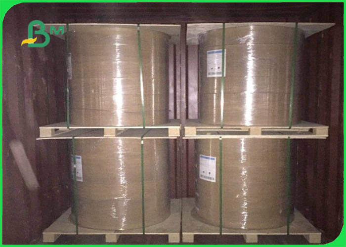 pe coated paper 