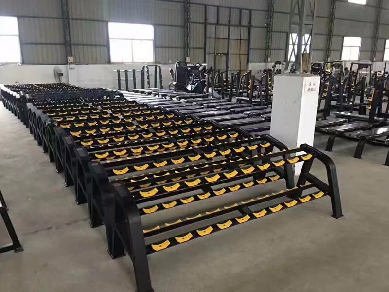 Befreeman Factory Direct Supply Gym Fitness Equipment Dumbbell Storage Rack