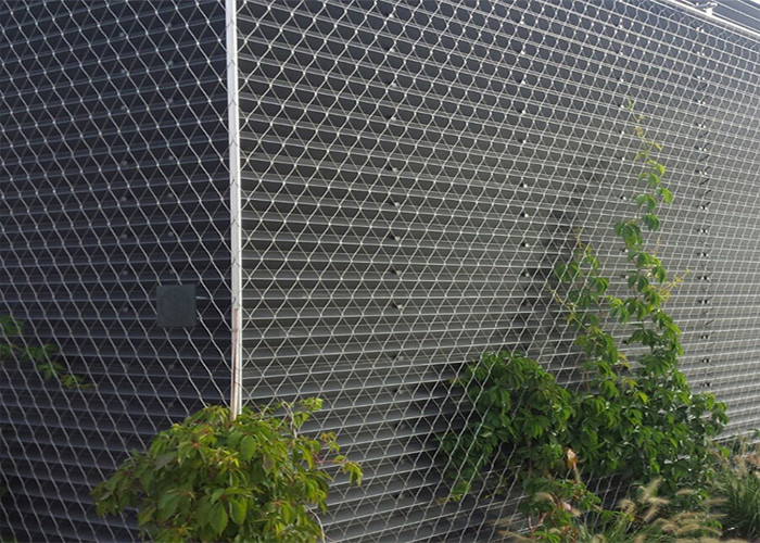 Horizontal SUS316 Wire Rope Trellis 200x200mm 3.2mm Steel Wire For Climbing Plants