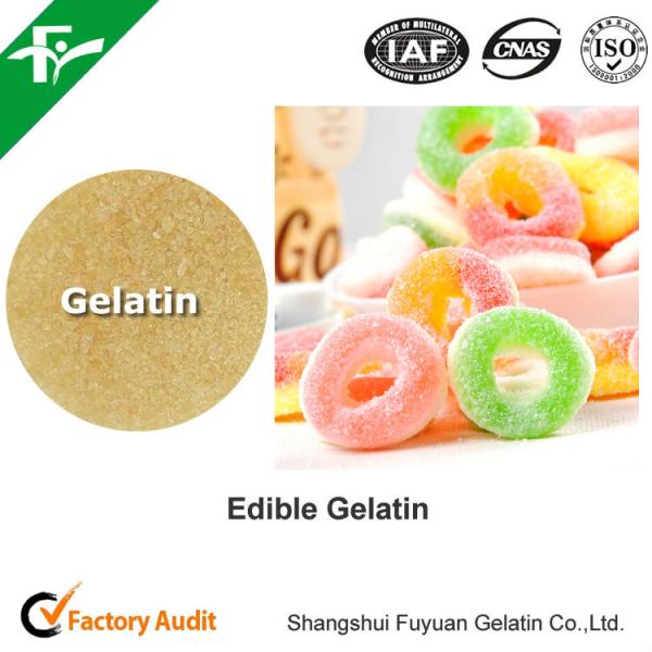 Unflavored Edible Bovine Gelatin 200-280 Bloom Beef Skin Gelatin Powder For Food