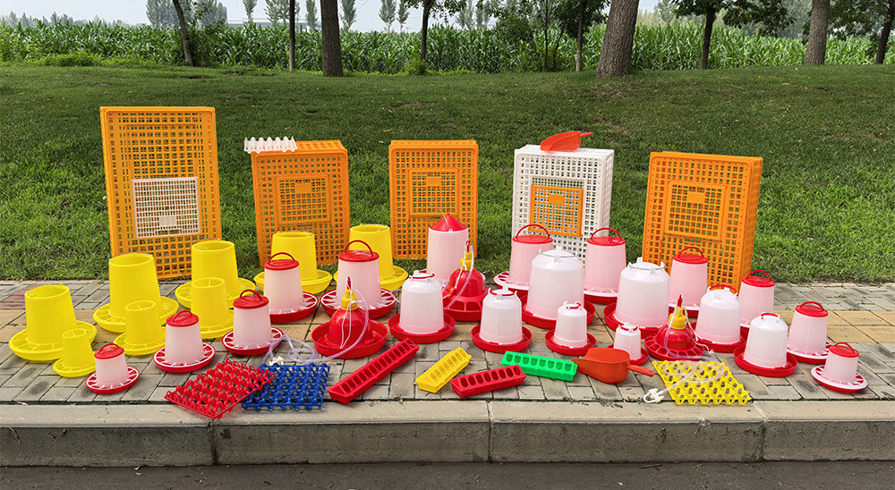 3Kg Farm Equipment Animal Poultry Broiler Automatic Feeding Plastic Chicken Drinkers And Feeders