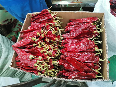 15% Moisture Sweet Paprika Pepper Pungent Dried Chili Pods 18CM