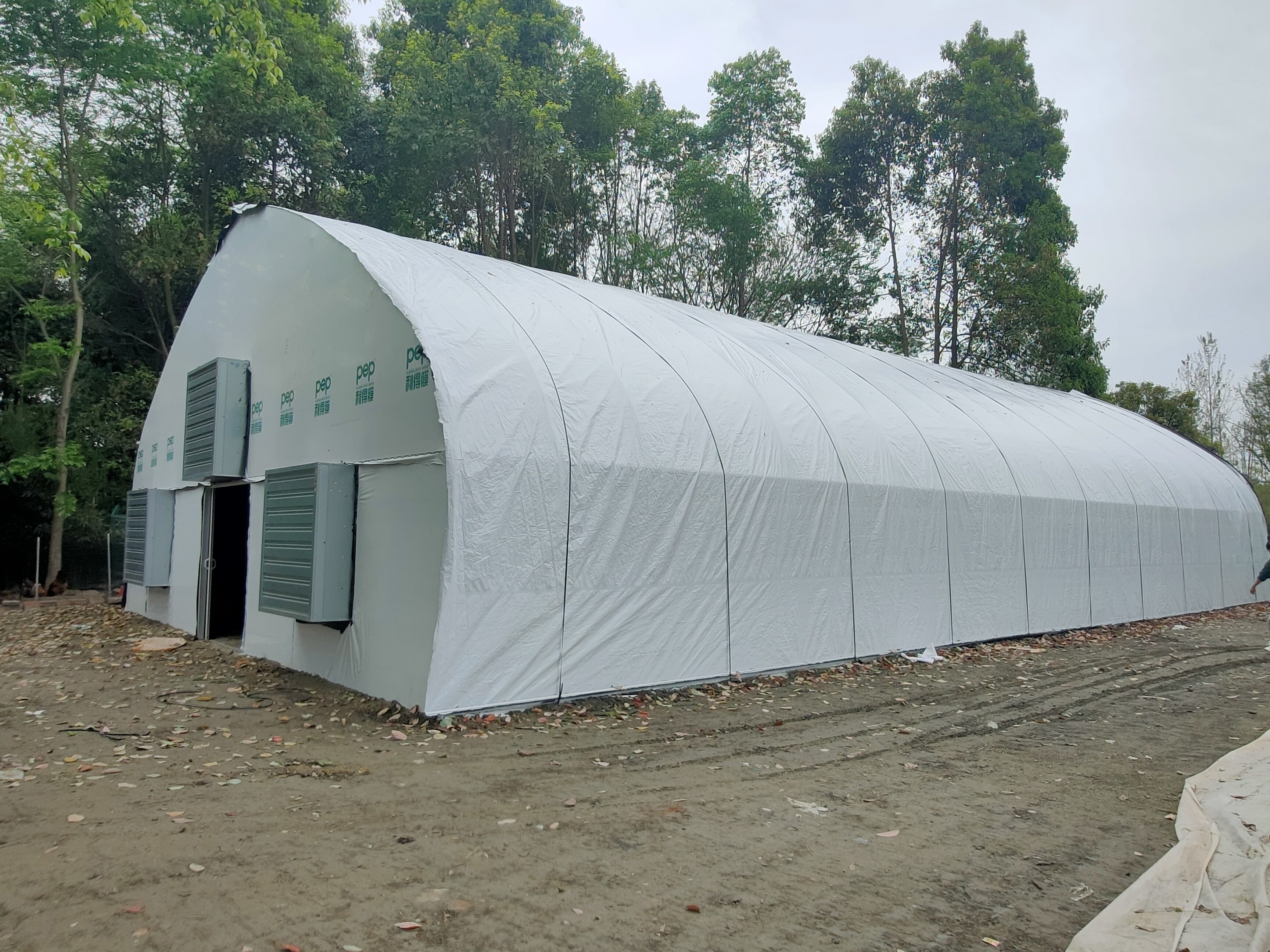 Low Tunnel Plastic Film Galvanized Steel Frame Structure Greenhouse For Sale