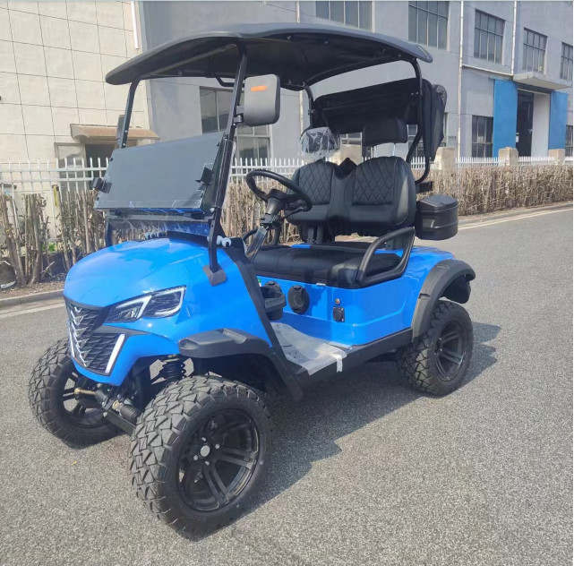 Enhance Your Golfing Experience With White LED Illumination In This 2 Seater Golf Cart