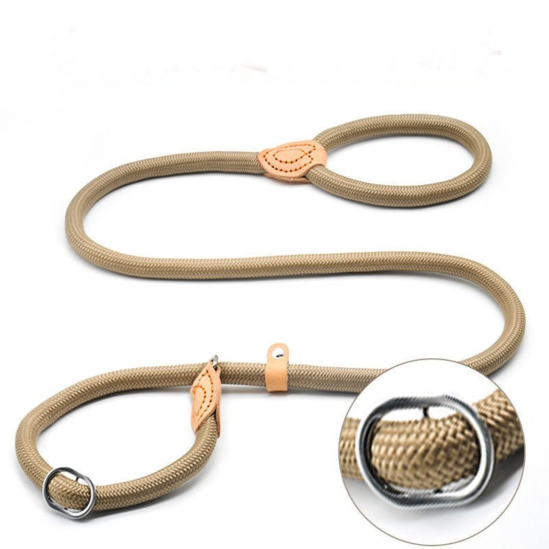  large dog lead