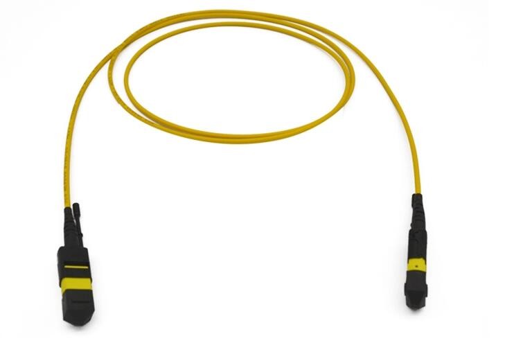 MPO MTP Singlemode Loopback Fiber Optic Patch Cable