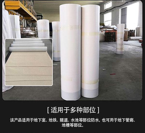 Project Solution Capability PVC Waterproof Roofing Membrane for Concrete Flat Roof