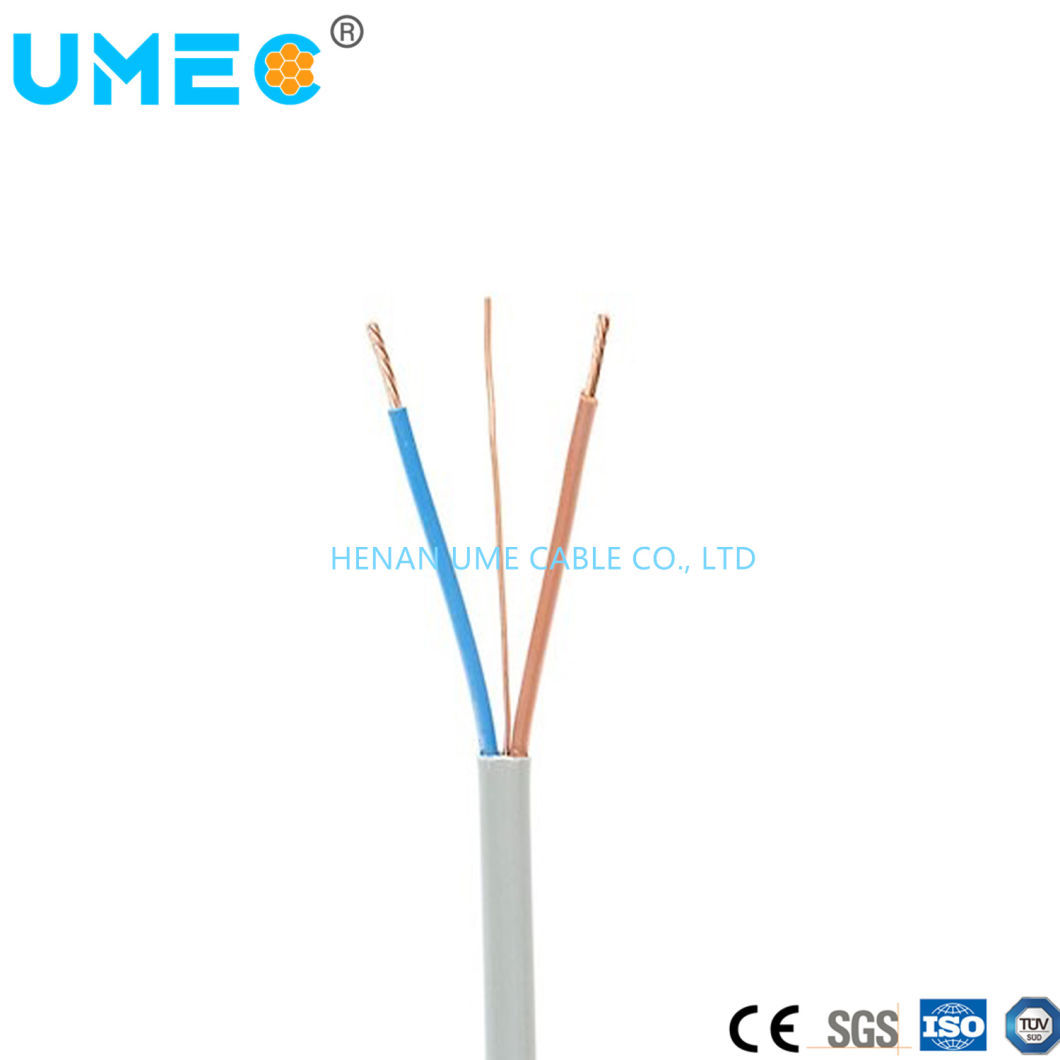 LV Flat Twin &amp; Earth Wire 6242y Power Cable Copper Conductor Power Cable PVC Wire for Buliding