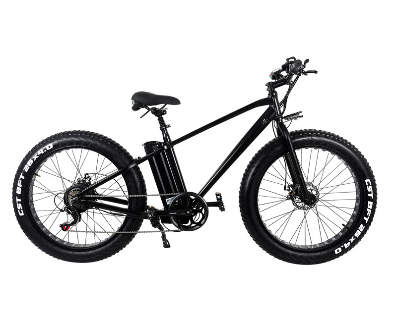 500W 750W Fat Tyre Electric Sport Bike With Double Disc Brake LCD Display High Power