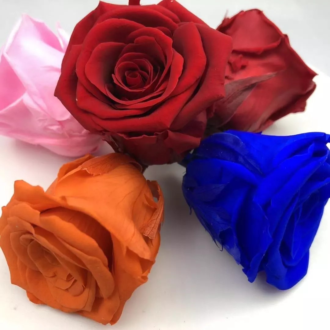 Wholesale 6-7cm preserved flower dried roses natural stabilized rose