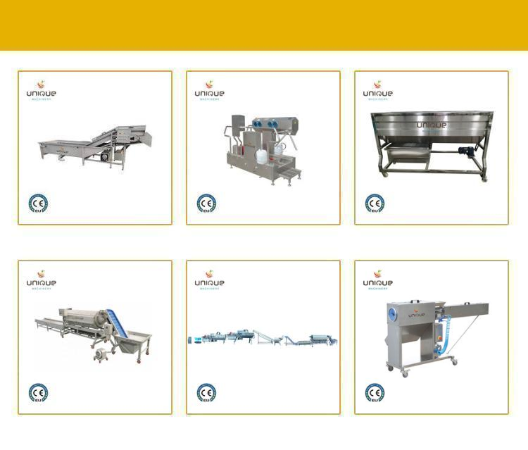 Stainless Steel 304 Date Seed Removing Olive Pitting Machine for Restaurant Kitchen