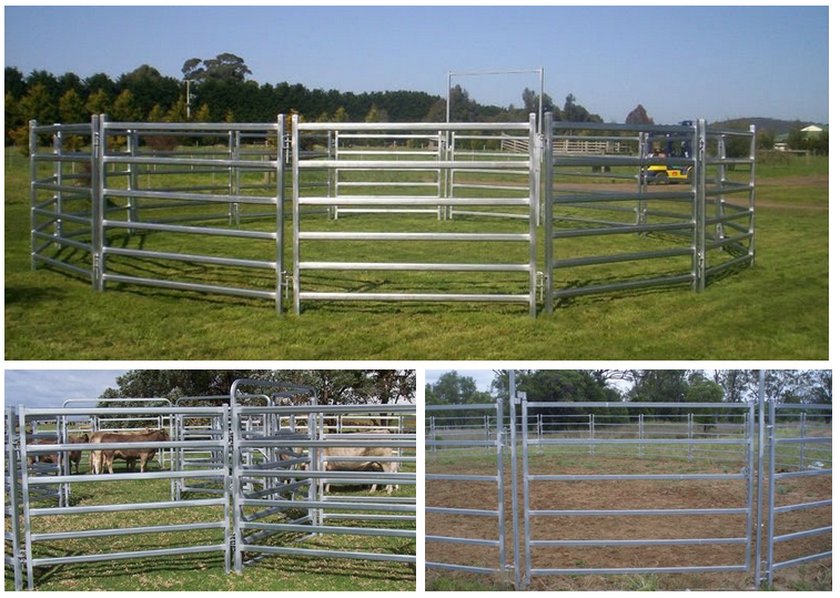 pvc pipe livestock cattle corral panels