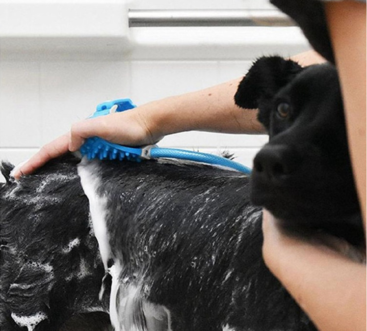 Silicone Dog Shower Sprayer Sustainable Dog Hair Grooming Kit