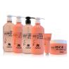 Buy cheap Hair Care Treatment Hair Repairing Shampoo 450ml from wholesalers