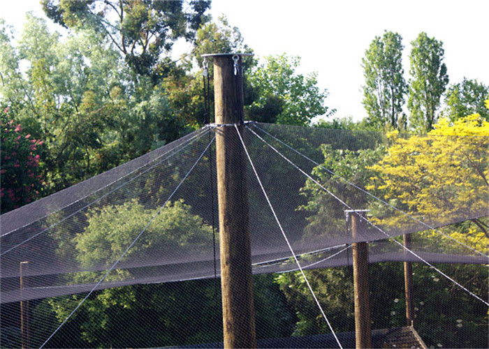Customized 60x60mm Stainless Steel Aviary Netting 60 Degree Angle Rustproof