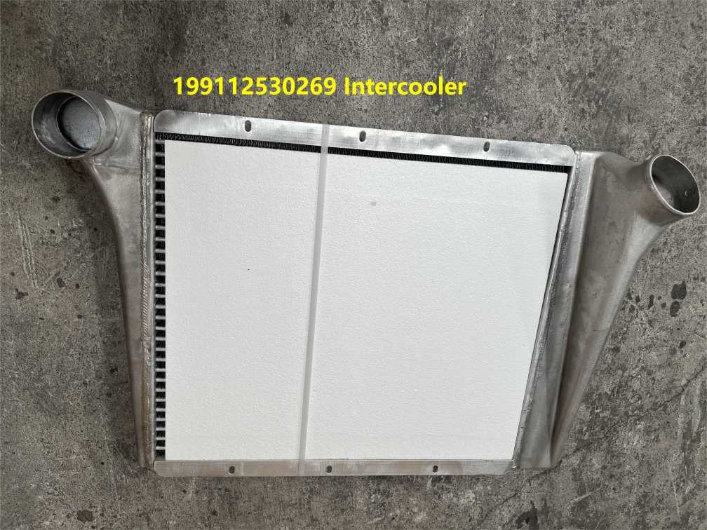 199112530269 Shacman Truck Parts Intercooler Assembly Shacman F3000 Truck Parts