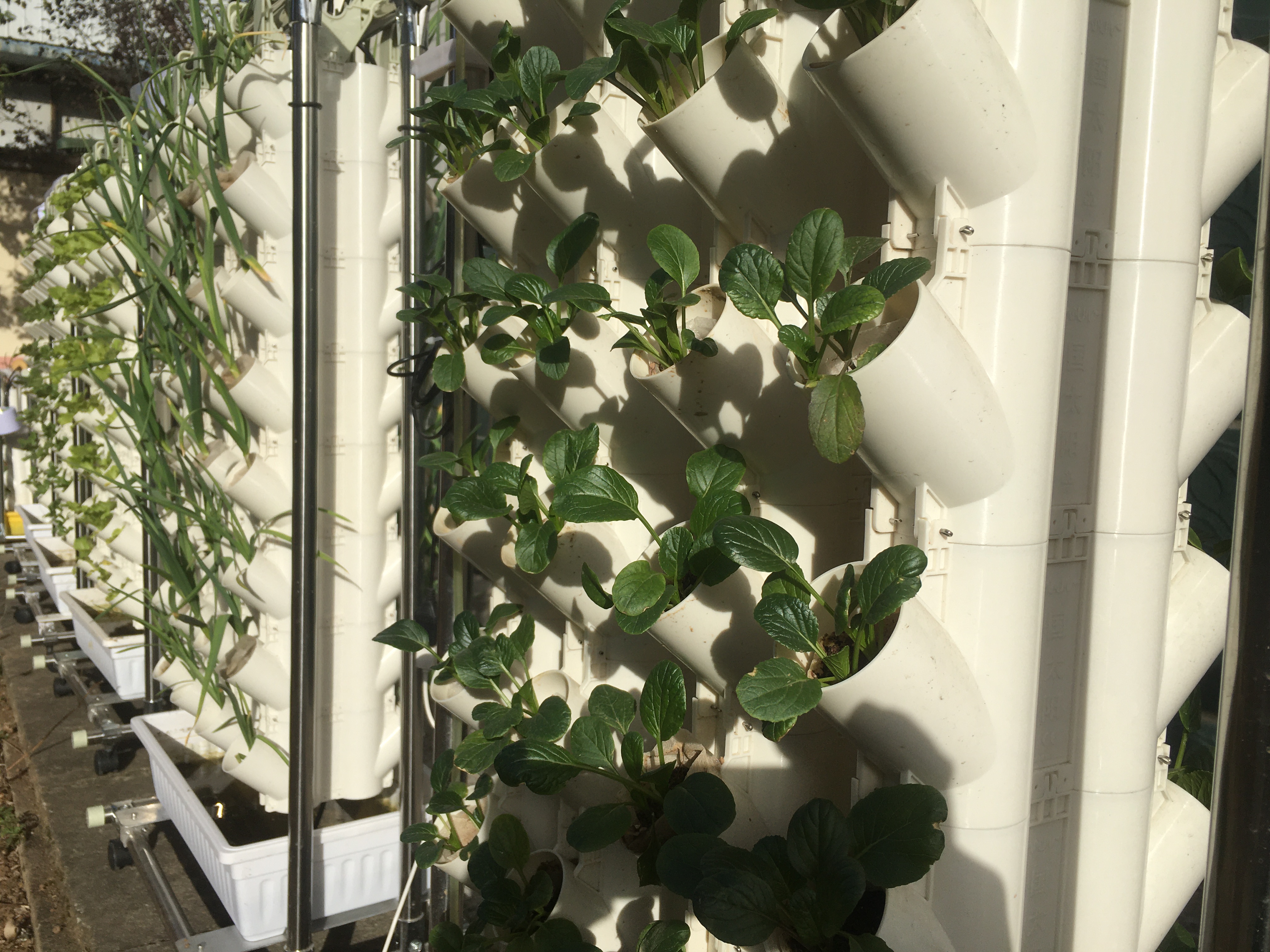 Soilless Cultivation Or Substrate Cultivation Planting Tower For Gardening