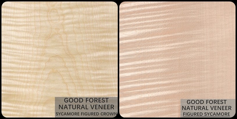 Natural Sycamore Figured Wood Veneer 0.3mm - 0.5mm For Interior Doors